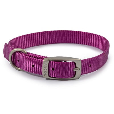 Ancol Viva Buckle Collar Purple 20-26cm