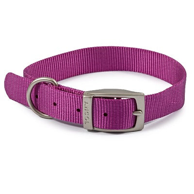 Ancol Viva Buckle Collar Purple 28-36cm