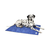 Scruffs Cool Mat Blue 92x69cm