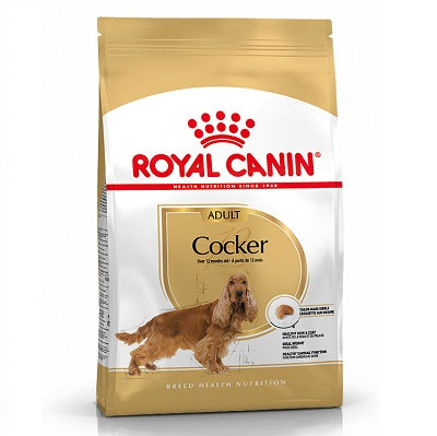 RC Cocker Spaniel