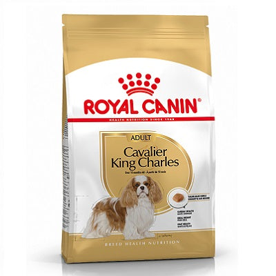 RC Cavalier King Charles