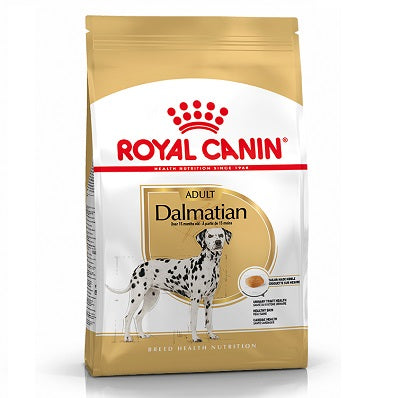 RC Dalmatian