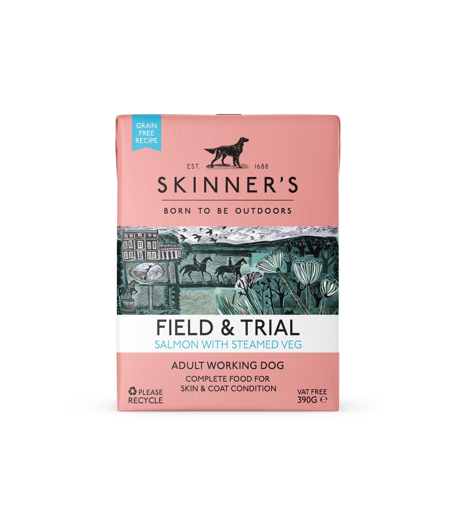 Skinners F&T Adult GF Salmon 18x390g