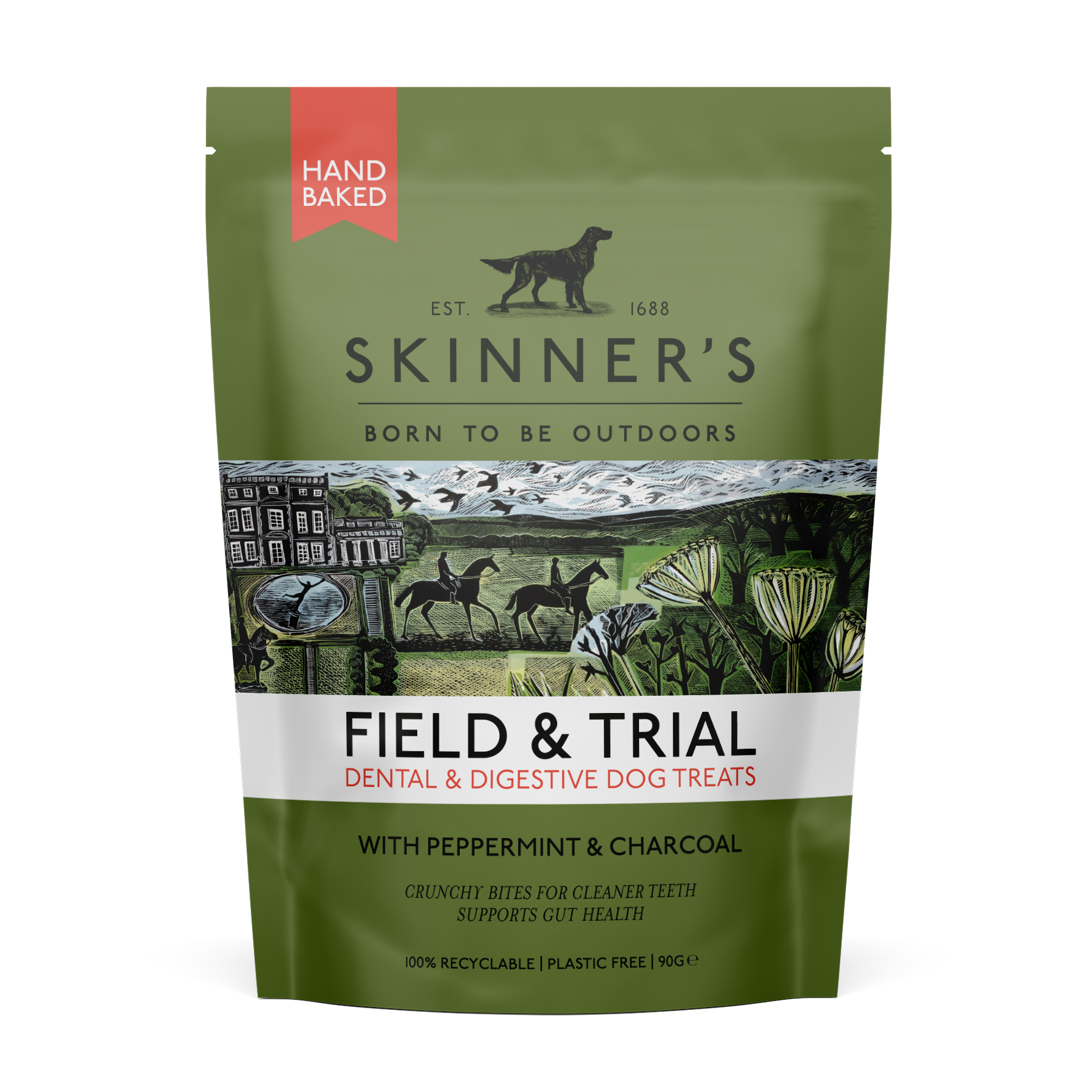 Skinners F&T Dental & Digestive 8x90g