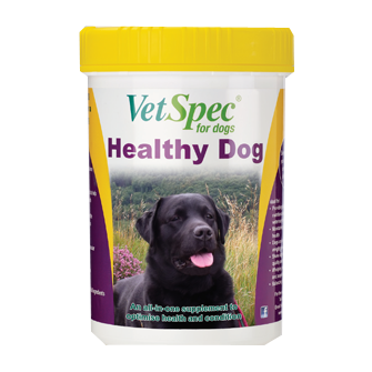 VetSpec Healthy Dog