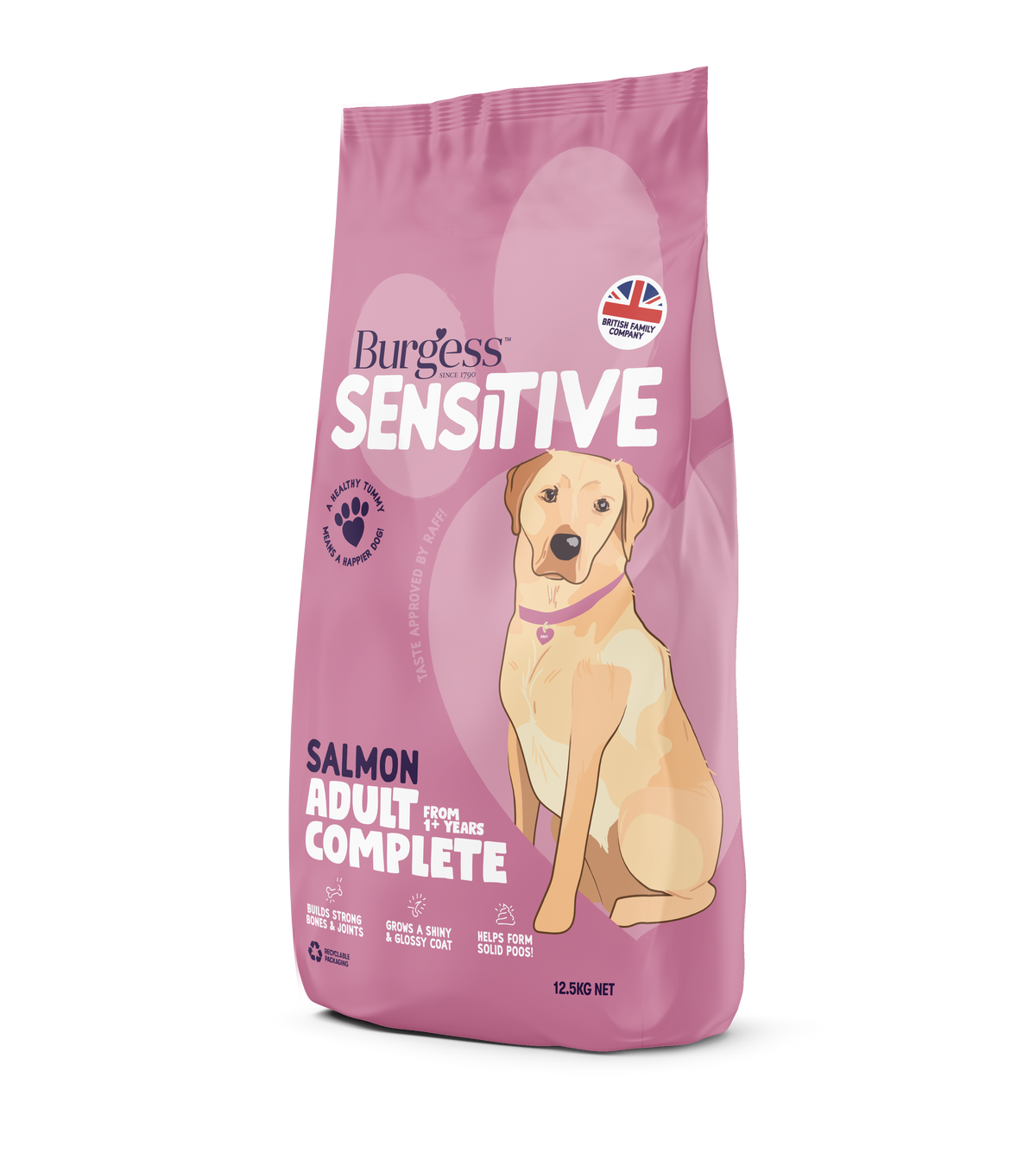 Burgess Sensitive Dog Salmon & Rice