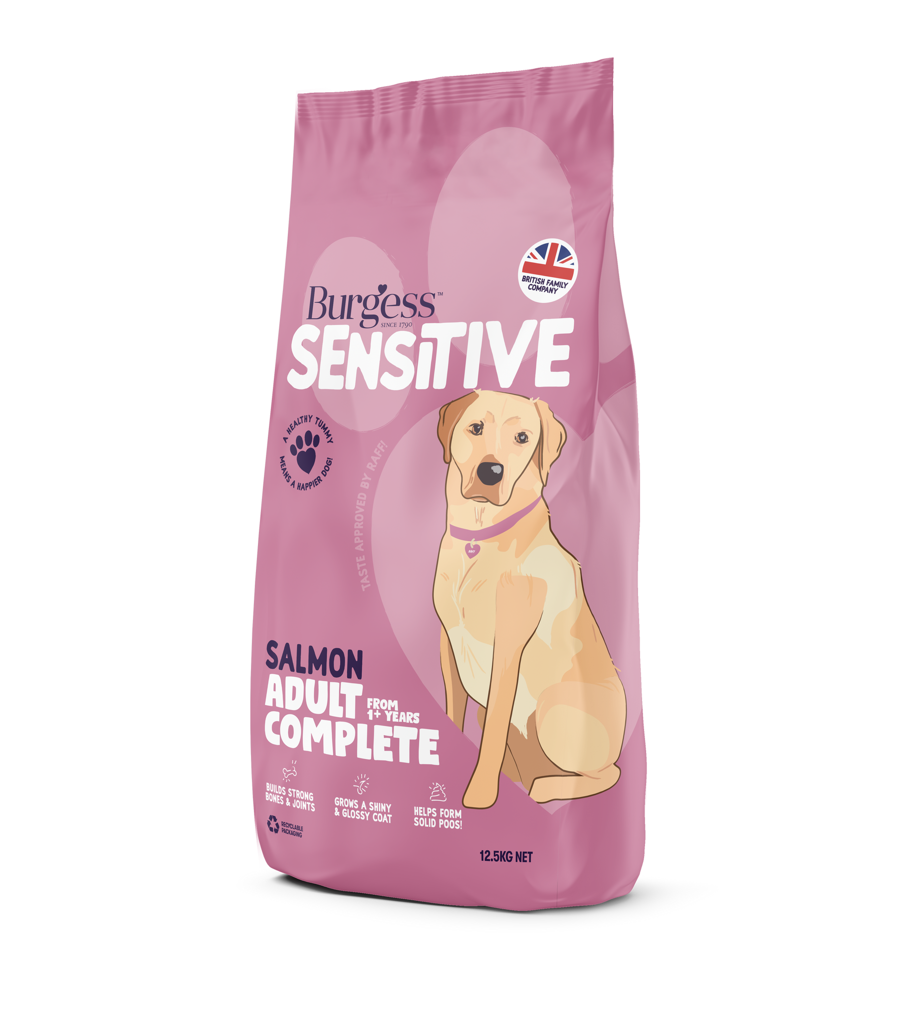 Burgess Sensitive Dog Salmon & Rice