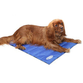 Scruffs Cool Mat Blue 77x62cm