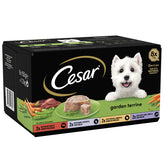 Cesar Tray Garden Terrine M CIL 3x8x150g