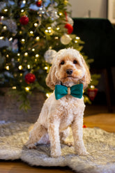 Xmas Green Knitted Bow Tie x4